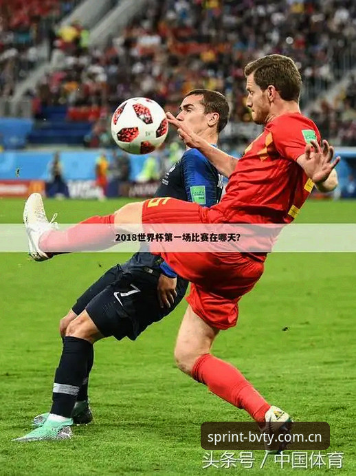 为什么宝威体育官网入口是体育爱好者的首选？如何快速获取BVTY.COM最新网址？